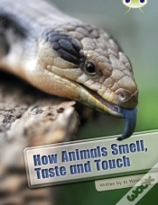 Capa do artigo Bug Club Independent Non Fiction Year Two White A How Animals Smell, Taste And Touch