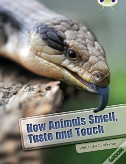 Capa do artigo Bug Club Independent Non Fiction Year Two White A How Animals Smell, Taste And Touch