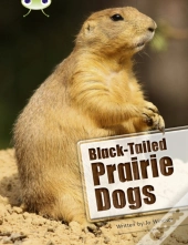 Bug Club Independent Non Fiction Year Two White B Black-Tailed Prairie Dogs