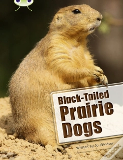 Capa do artigo Bug Club Independent Non Fiction Year Two White B Black-Tailed Prairie Dogs