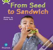 Bug Club Phonics - Phase 1 Unit 0: From Seed To Sandwich