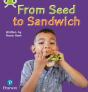 Bug Club Phonics - Phase 1 Unit 0: From Seed To Sandwich - Preview