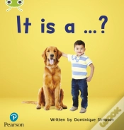 Capa do artigo Bug Club Phonics - Phase 2 Unit 3: It Is A ...?