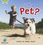 Bug Club Phonics - Phase 2 Unit 4: Is It A Pet? - Preview