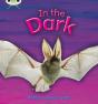 Bug Club Phonics - Phase 3 Unit 10: In The Dark - Preview
