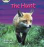 Bug Club Phonics - Phase 3 Unit 7: The Hunt - Preview