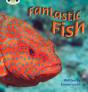 Bug Club Phonics - Phase 4 Unit 12: Fantastic Fish - Preview