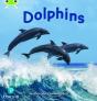 Bug Club Phonics - Phase 5 Unit 13: Dolphins - Preview