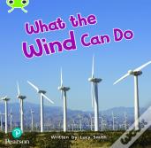 Bug Club Phonics - Phase 5 Unit 16: What The Wind Can Do