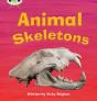 Bug Club Phonics - Phase 5 Unit 17: Animal Skeletons - Preview