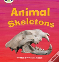 Capa do artigo Bug Club Phonics - Phase 5 Unit 17: Animal Skeletons