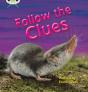 Bug Club Phonics - Phase 5 Unit 18: Follow The Clues - Preview