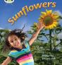 Bug Club Phonics - Phase 5 Unit 20: Sunflowers - Preview