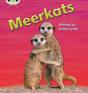 Bug Club Phonics - Phase 5 Unit 22: Meerkats - Preview