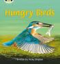 Bug Club Phonics - Phase 5 Unit 23: Hungry Birds - Preview