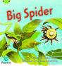 Bug Club Phonics - Phase 5 Unit 27: Big Spider - Preview