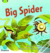 Capa do artigo Bug Club Phonics - Phase 5 Unit 27: Big Spider