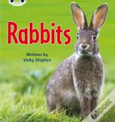 Bug Club Phonics - Phase 5 Unit 27: Rabbits