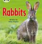 Bug Club Phonics - Phase 5 Unit 27: Rabbits - Preview