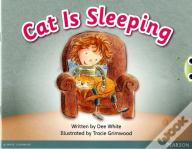 Bug Club Pink A Cat Is Sleeping 6-Pack