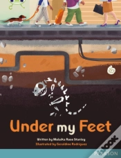 Capa do artigo Bug Club Pro Guided Y5 Under My Feet