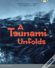 Bug Club Pro Guided Year 6 A Tsunami Unfolds