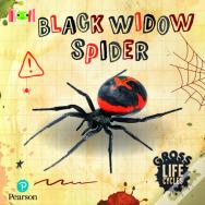 Bug Club Reading Corner: Age 5-7: Gross Lifecycles: Black Widow Spider