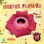 Bug Club Reading Corner: Age 5-7: Gross Lifecycles: Corpse Flower - Preview