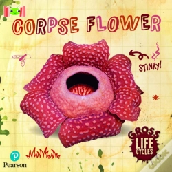 Capa do artigo Bug Club Reading Corner: Age 5-7: Gross Lifecycles: Corpse Flower