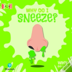 Capa do artigo Bug Club Reading Corner: Age 5-7: Why Do I Sneeze?
