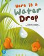 Bug Club Shared Reading: Here Is A Water Drop (Year 2) - Preview