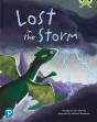 Bug Club Shared Reading: Lost In The Storm (Year 1) - Preview
