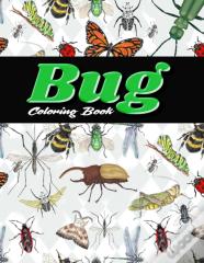 Bug Coloring Book