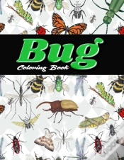 Capa do artigo Bug Coloring Book