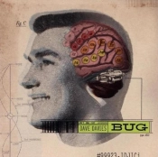 Capa do artigo Bug - Vinil