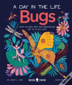 Capa do artigo Bugs (A Day In The Life)