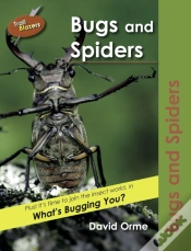 Capa do artigo Bugs And Spiders