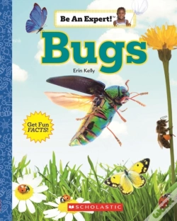 Capa do artigo Bugs (Be An Expert!)