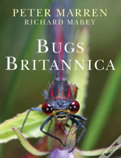 Capa do artigo Bugs Britannica