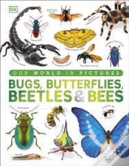 Bugs, Butterflies, Beetles And Bees