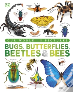 Capa do artigo Bugs, Butterflies, Beetles And Bees