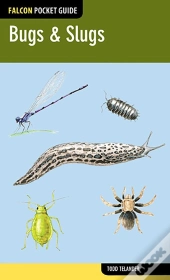 Bugs & Slugs
