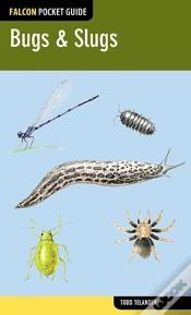 Capa do artigo Bugs & Slugs