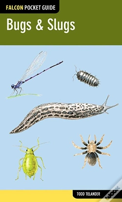 Capa do artigo Bugs & Slugs