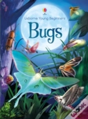 Capa do artigo Bugs