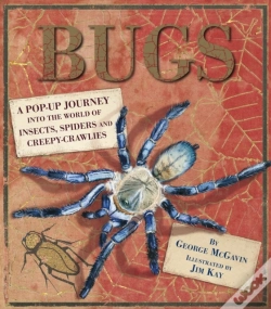 Capa do artigo Bugs