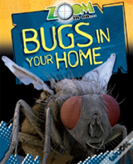 Bugs In Your Home