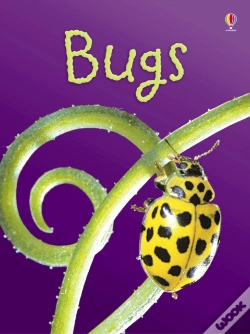 Capa do artigo Bugs