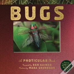 Capa do artigo Bugs