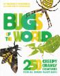 Bugs Of The World - Preview